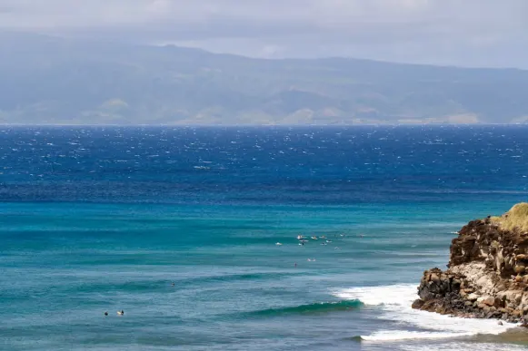 קזומבי קזינו תמיכה